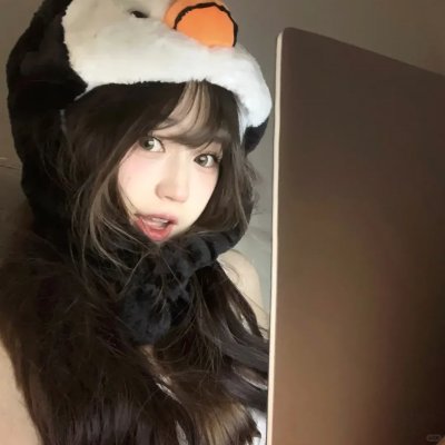 三只流浪猫